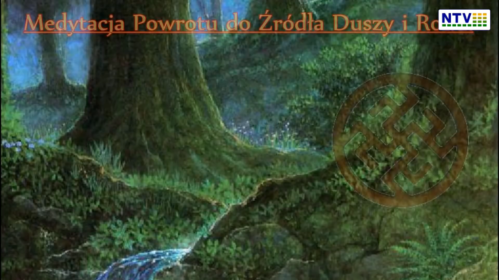 Medytacja Powrotu do Źródła Duszy i Rodu - Czesław Michałowski