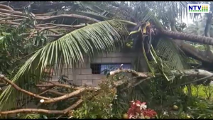 Filipiny po niecodziennym tajfunie - Relacja polaka Ernesta Brunona