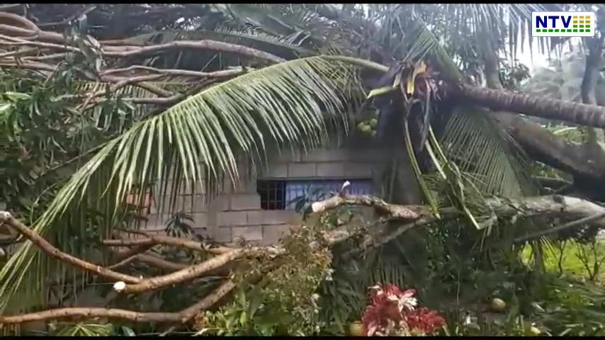 Filipiny po niecodziennym tajfunie – Relacja polaka Ernesta Brunona