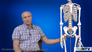 Kości i stawy - Aliaksandr Haretski - Akademia Medycyny Regeneracyjnej