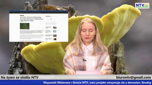 Białowieski grzyb szansą na wyleczenie raka - Agnieszka Zell