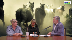Masowe zabijanie koni w Polsce - Fundacja Tara